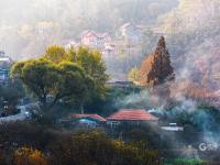 晨光、层林、乡烟……这样的北九水你见过吗