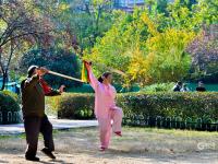 健身、漫步、留影……海泊河公园秋韵浓郁