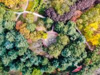 拿捏秋天的“氛围感”，还得是奥林匹克公园