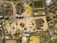 “晒秋”你见过么？宝山镇这个村美得不像话，像画