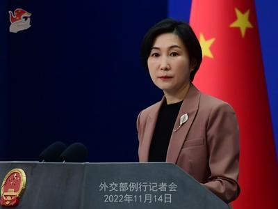 达苏恐袭案已判，外交部：是对遇难中国同胞的告慰