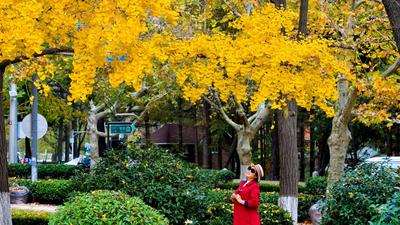 一步一景！青岛这处小口袋公园等你来打卡