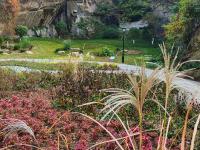 实拍中山公园花溪谷：昔日大深沟变身“花园+氧吧”