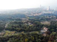 藏不住了，中山公园的花溪谷美成“世外桃源”