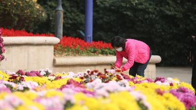 家门口的“天然氧吧” 实拍植物园初冬之美