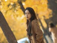 湛山三路美图：天然滤镜，满街摇曳银杏叶