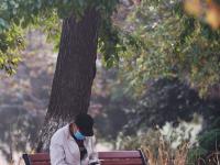 家门口的“天然氧吧” 实拍植物园初冬之美