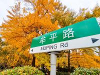 一步一景！青岛这处小口袋公园等你来打卡