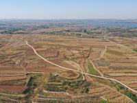 致富“薯”光！北小峨村的地瓜丰收啦|兴农记⑦