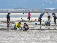 赶海带上盐，来看周末崂山休闲新玩法