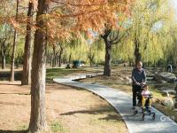 加了漫画滤镜，初冬的李村河原来长这样