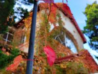 镜头小景别中的惊喜，湛山三路还可以这样拍
