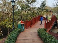 实拍中山公园花溪谷：昔日大深沟变身“花园+氧吧”