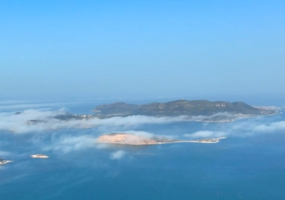 什么？山东竟然有海豹！？ 海豹来自太平洋？ 是的！软萌海豹旅行团就在山东长岛！