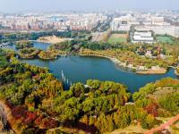 拿捏秋天的“氛围感”，还得是奥林匹克公园