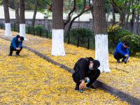 错过等一年，超美落叶季即将下线