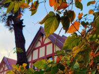 镜头小景别中的惊喜，湛山三路还可以这样拍