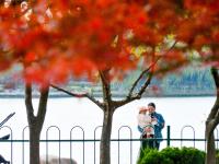 拿捏秋天的“氛围感”，还得是奥林匹克公园