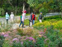 藏不住了，中山公园的花溪谷美成“世外桃源”