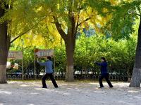 健身、漫步、留影……海泊河公园秋韵浓郁