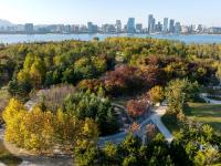 宝藏级赏秋打卡点 航拍唐岛湾湿地撩人景色