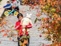 逛完后悔来晚了！实拍老虎山公园