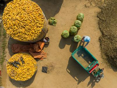 “晒秋”你见过么？宝山镇这个村美得不像话，像画