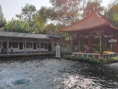 擦亮“天下泉城”名片，讲好黄河故事！济南这样提升文化软实力