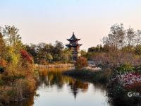 宝藏级赏秋打卡点 航拍唐岛湾湿地撩人景色