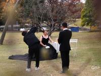 秋天的N种颜色丨赏“油画级”秋景？你可以永远相信百花苑