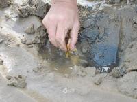 赶海带上盐，来看周末崂山休闲新玩法