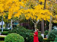 一步一景！青岛这处小口袋公园等你来打卡