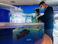 青岛海底世界实拍：免票政策将结束，速来“薅羊毛”