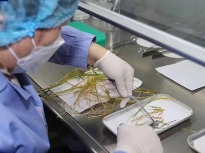 空间站第三批空间科学实验样品顺利返回并交付