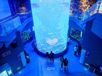 青岛海底世界实拍：免票政策将结束，速来“薅羊毛”