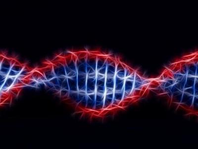 中国科学家发现17个影响脸型的新遗传位点