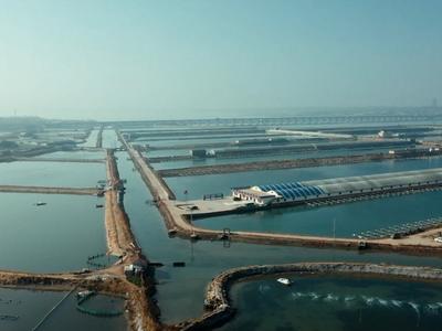 瞰中国｜山东青岛：电力助推海洋经济全面发展
