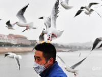 冬日栈桥：人鸥互动，镜头很“治愈”