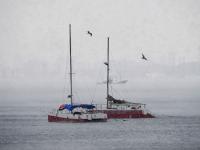 回澜阁、小青岛与“海浩”同框是什么画风？“仙境版青岛”来了