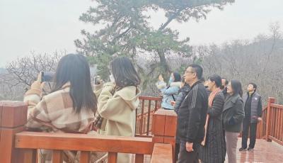 局长与大V茶座丨藏不住了！青岛人熟悉的中山公园大变样