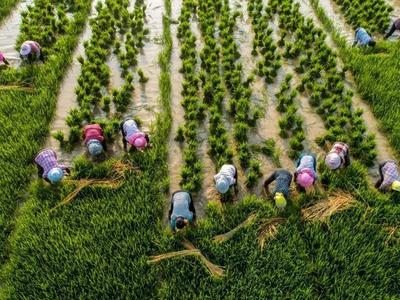 中国成果入选！《科学》公布2022年度十大突破