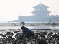 遛娃、垂钓……青岛海滨冬日“暖镜头”来了