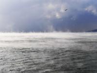 回澜阁、小青岛与“海浩”同框是什么画风？“仙境版青岛”来了