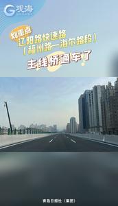 辽阳路快速路（福州路—海尔路段）主线桥通车了！