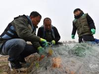 致敬！国际志愿者日：他们用爱守护湿地