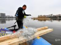 致敬！国际志愿者日：他们用爱守护湿地