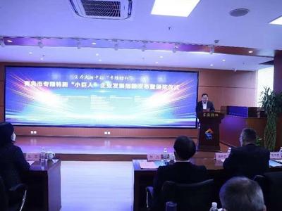 国内首创！青岛发布专精特新“小巨人”企业发展指数