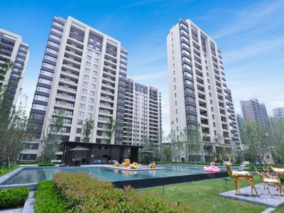 新年住新家，现房选中冶