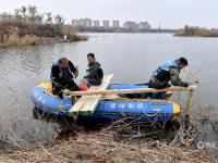 致敬！国际志愿者日：他们用爱守护湿地