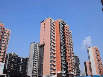 长清区探索“后迁建时代”黄河滩区新发展模式